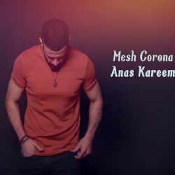 Anas Kareem Mesh Corona