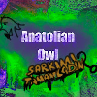 Anatolian Owl Şarkımı Tamamladın
