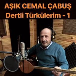 Dertli Türkülerim Vol 1
