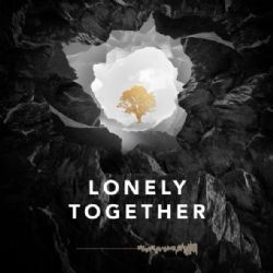 Avicii Lonely Together