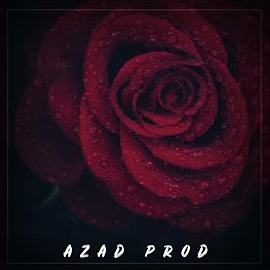 Azad Prod Gül