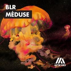 BLR Meduse