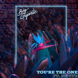 Big Gigantic Youre The One