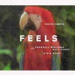 Calvin Harris Feels