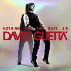 David Guetta Nothing But The Beat