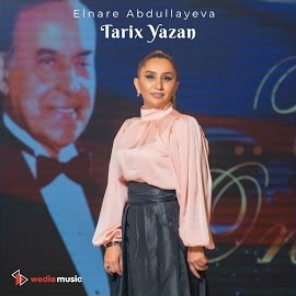Tarix Yazan