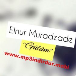 Elnur Muradzade Gülüm
