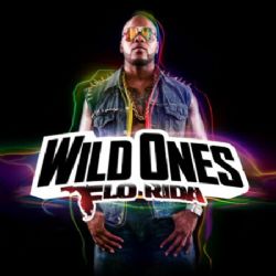 Flo Rida Wild Ones