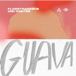 Flosstradamus Guava