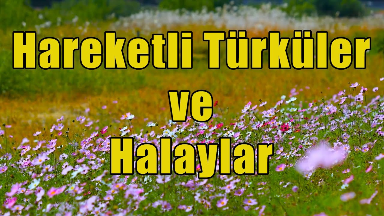 Furkan Erbay Halaylar Hareketli Türküler