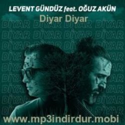Levent Gündüz Diyar Diyar