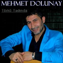 Mehmet Dolunay Türkü Tadında