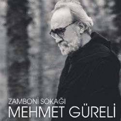 Mehmet Güreli Zamboni Sokağı