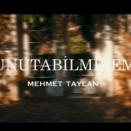 Mehmet Taylan Unutabilmirem
