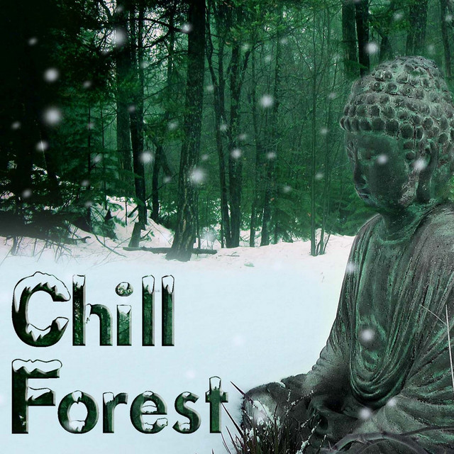 Nür Tür Chill Forest