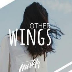Other Wings