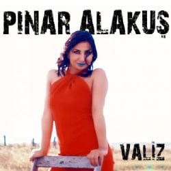 Pınar Alakuş Valiz