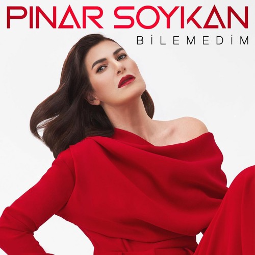 Pınar Soykan Bilemedim