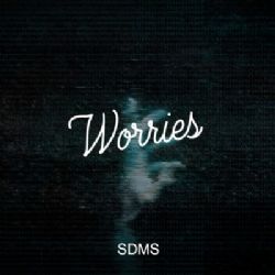 SDMS Worries