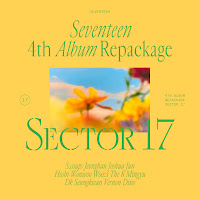 Seventeen SECTOR 17