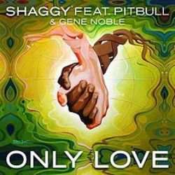 Shaggy Only Love