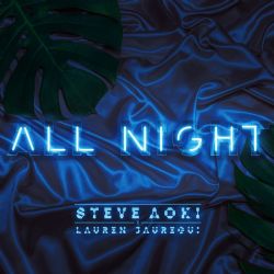 Steve Aoki All Night