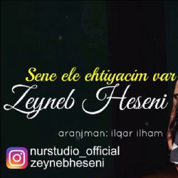 Zeyneb Heseni Sene Ele Ehtiyacim Var