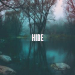 4RR Hide