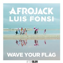 Afrojack Wave Your Flag