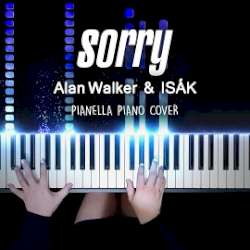 Alan Walker Sorry