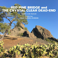 Red Pine Bridge And The Crystal Clear Dead End