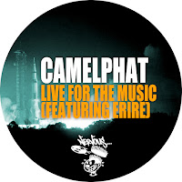 CamelPhat Aura Live For The Music
