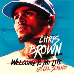 Chris Brown Welcome To My Life