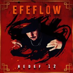 Efeflow Hedef 12