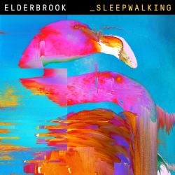 Elderbrook Sleepwalking