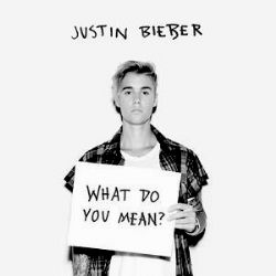 Justin Bieber What Do You Mean