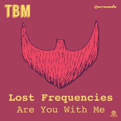 Lost Frequencies Are You With Me