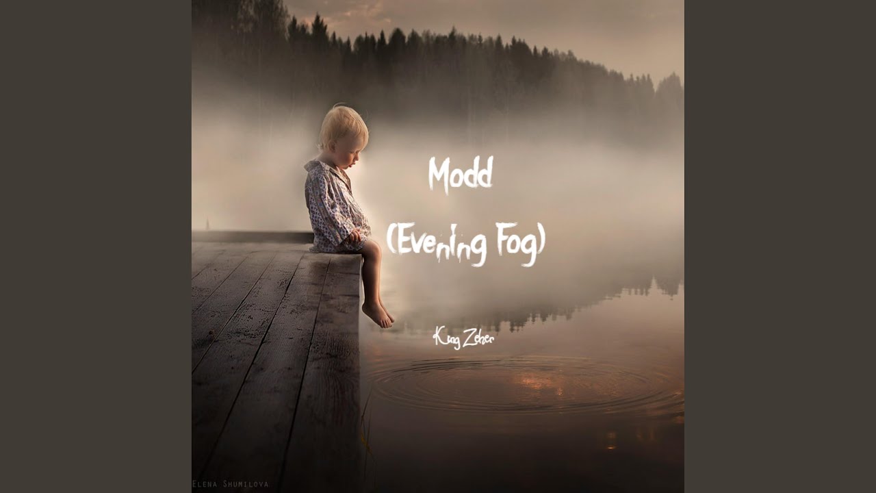 Evening Fog