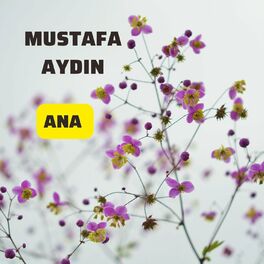 Mustafa Aydın Ana