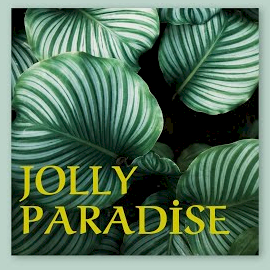 Jolly Paradise