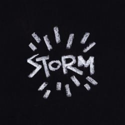 S10 Storm