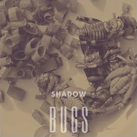 Shadow Bugs