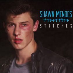 Shawn Mendes Stitches