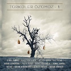 Türküler Özümüz Vol 1
