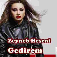 Zeyneb Heseni Gedirem